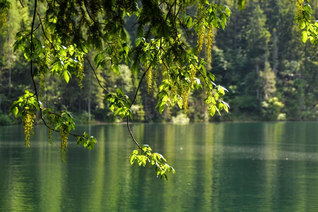 Antica Residenza De Poda Flavon Luaran gambar
